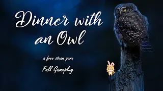 Dinner with an Owl by BoringSuburbanDad -  Full Gameplay - Review at 18:23