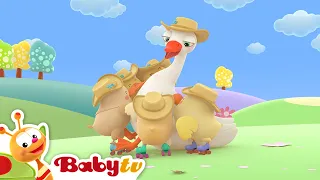 Cinco patitos 🦆 | Canciones & Rimas | @BabyTVSP