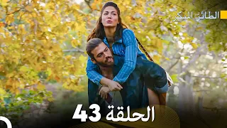 مسلسل الطائر المبكر الحلقة 43 (Arabic Dubbed)