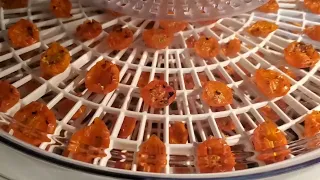 How to Dehydrate Cherry Tomatoes | SunGold Cherry Tomatoes