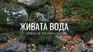 Извор "Живата вода". с.Боснек (The spring with the dragon's head hidden in the Vitosha mountain.)