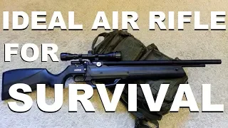 The Ideal Air Rifle for Survival (PCP with built-in Pump)