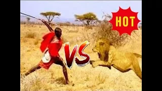 National Geographic Documentary - Lions vs Maasai Warriors - Wildlife Animal [LioN SharP]