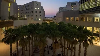 NYU Abu Dhabi Campus Tour