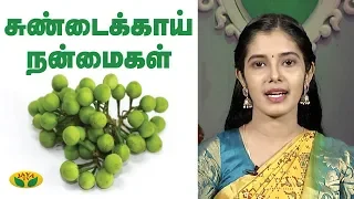 சுண்டைக்காயின்  மிரளவைக்கும் மருத்துவகுணங்கள்...| Medicinal Properties of Sundakkai | Jaya TV