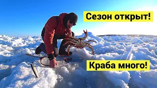 Краба много! // Lot of crab! (Eng Subs)