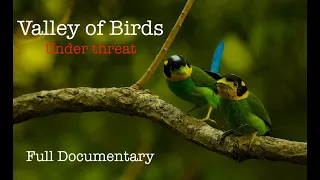 Valley of Birds Under Threat (Full Movie) - Nature Documentary