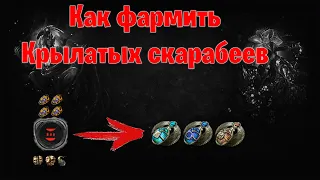 Как фармить крылатых скарабеев.  Path of exile 3.21 [Неактуально в новой лиге]