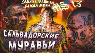 MS-13 - САМАЯ ЖЕСТОКАЯ БАНДА МИРА