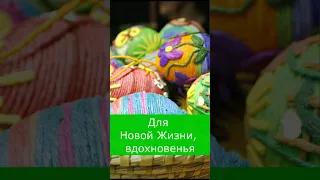 Поздравление с Праздником Пасхи #пасха #поздравление #спасхойпоздравления