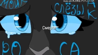 |CatsWarriors|Коты-Воители смерти|Shape Of You. |