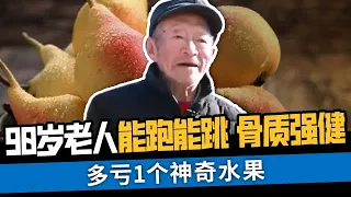 90岁老人骨质强健，原因是这个神奇的水果，不仅钙质含量丰富，还能润肺止咳！【活到100岁】