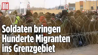 Flüchtlinge Belarus: Neuer Ansturm auf EU-Grenze