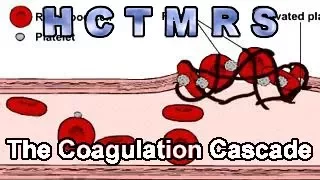 How Creationism Taught Me Real Science 68 The Coagulation Cascade