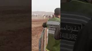 وعدة المهاية سيدي موسى /الخيل والدعوة زاهية...