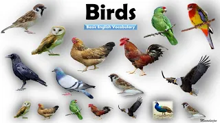 Birds Name | Birds Name in English | Basic English Learning | [Unit # 10]