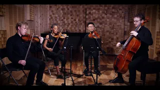 Schubert Quartettsatz No. 12 in C minor D. 703, Abeo Quartet