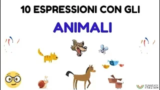 10 ESPRESSIONI CON GLI ANIMALI (italian idioms)