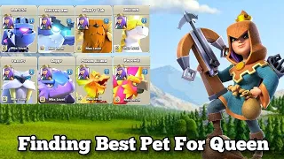 Finding Best Pet For Queen. @ClashOfClans  Clashood