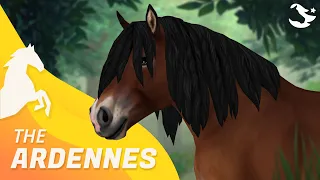 Ardennes ✨ | Star Stable Horses