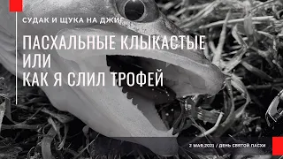 Пасхальные клыкастые или как я слил трофей! Ловля судака и щуки на джиг с берега. Май 2021