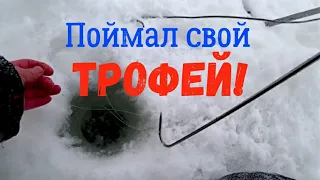 Самая крупная ЩУКА в моей жизни! Это мой ТРОФЕЙ!