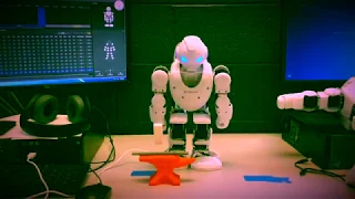 UBTech Robots Sword-fighting