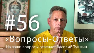 "Вопросы-Ответы", Выпуск #56 - Василий Тушкин отвечает на ваши вопросы