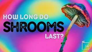 How Long Does Shrooms Stay In Your Brain? Shrooms Trips, Effects & Risks. Call Us at (561) 678 0917
