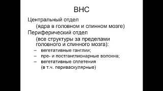 Вегетативная нервная система