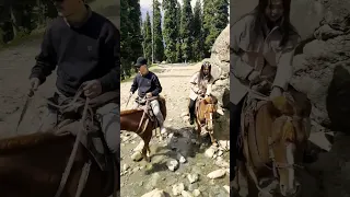 Pony ride Way to Baisaran Valley Pahalgam MiniSwitzerland | Kashmir Trip #baisaranvalley #pahelgam