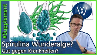 Wunderalge Spirulina: Welche Auswirkungen hat das Superfood auf Immunsystem & unsere Gesundheit?