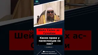 Как нам реагировать в отношении случившегося в Палестине?