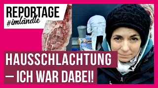 Hausschlachtung - ich war dabei!