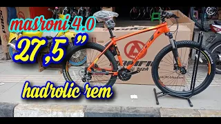 MTB PACIFIC MASRONI 4.0 2020 NEWS TERBARU