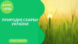 Урок 64. Природні скарби України. 5 клас. НУШ