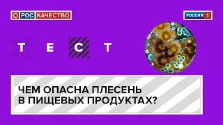 Чем опасна плесень в пищевых продуктах?