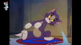 Tom and Jerry, 5 Episode   Fraidy Cat 1942