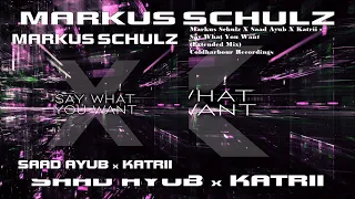 Markus Schulz X Saad Ayub X Katrii - Say What You Want (Extended Mix)