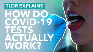 How do Coronavirus Tests Work? (Genetic & Antibody) - TLDR News