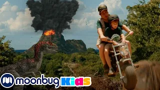 Jurassic World | El Reino Caído aventura volcánica con dinosaurios | Moonbug Kids