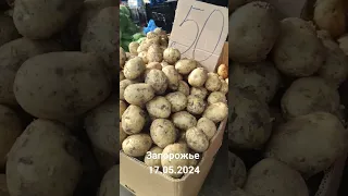 #доставка #скидки #еда #овощи #обзор картошка молодая. Запорожье рынок Анголенко