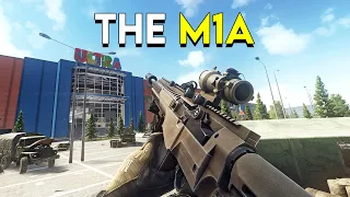 This M1A Destroys! - Escape From Tarkov