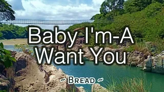 Baby I'm - A Want You - KARAOKE VERSION - Bread