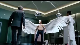 Evolution of Winged Characters in Movies and Tv shows (From 2000-2022)_Full-HD