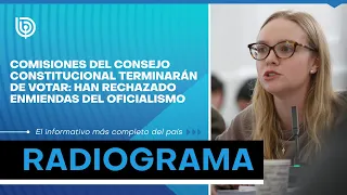 Comisiones del Consejo Constitucional terminarán de votar: han rechazado enmiendas del oficialismo