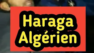haraga algérien