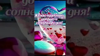 Хорошего дня и отличного настроения!