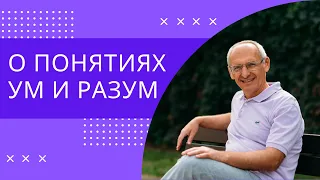 О понятиях ум и разум. Торсунов лекции