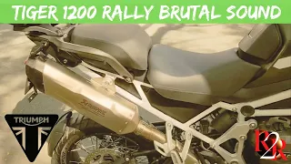 TOP 5 BEST SPORT EXHAUSTS  for TIGER 1200 RALLY PRO - TIGER 1200 RALLY BRUTAL SOUND - GRR